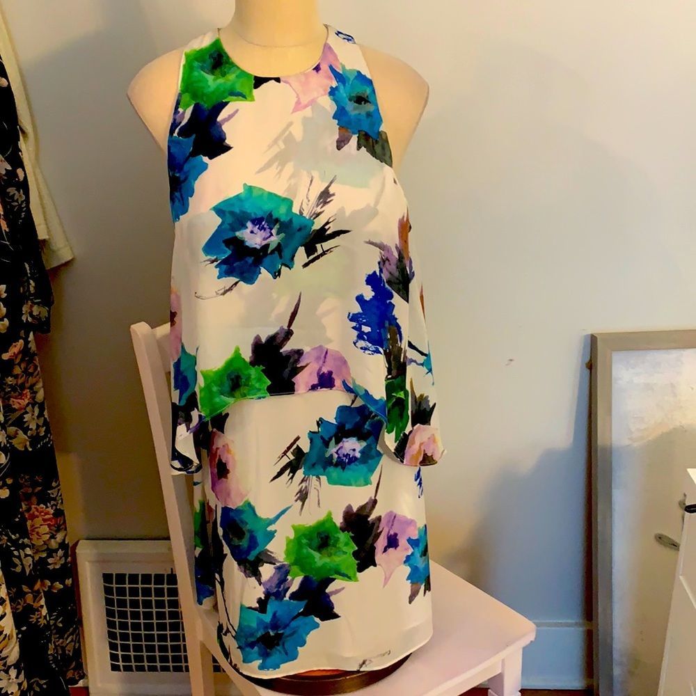 Zara Floral Print Dress